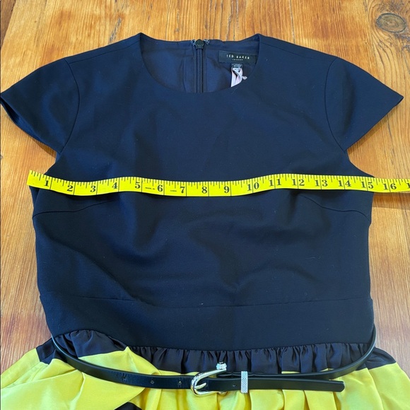 Ted Baker Aneli Cruise Stripe Fit and Flare Dress sz 4 new modern designer - Picture 12 of 16